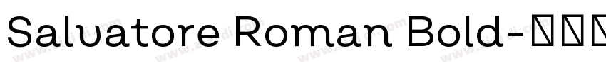 Salvatore Roman Bold字体转换